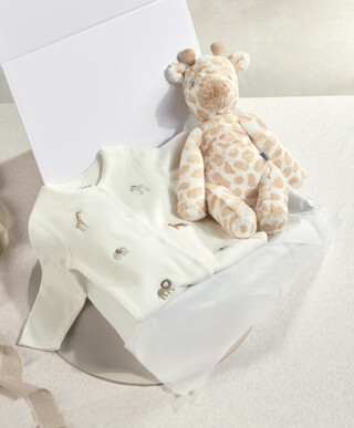 Welcome to the World Giraffe Baby. Gift - 2 Piece Set Welcome to the World Giraffe Baby. Gift - 2 Piece Set